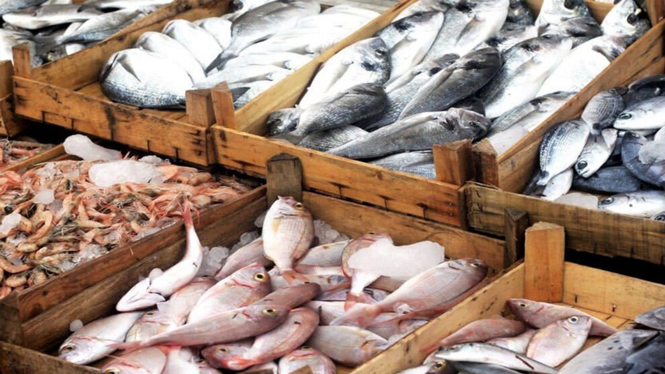 Pakistan generates $116mln by seafood export in four months