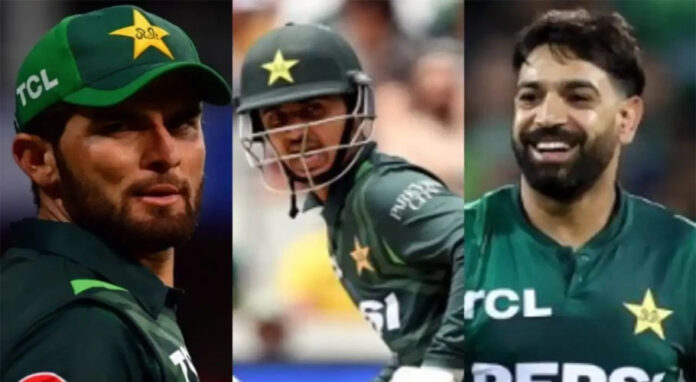 Saim Ayub, Shaheen and Harris are included in the ICC One Day Team 2024.

