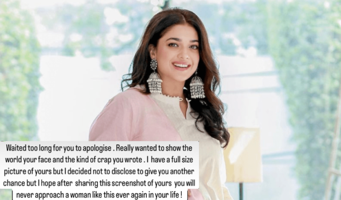 Sanam Jung broke the silence on cyber bullying

