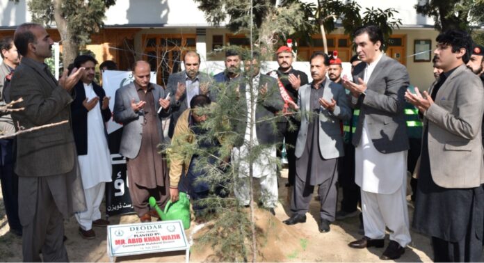 KP Forest Department launched a drive for 384,000 plants in Malakand Division

