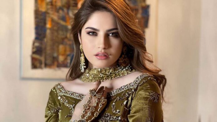 Neelam Munir talks about leaving showbiz after marriage

