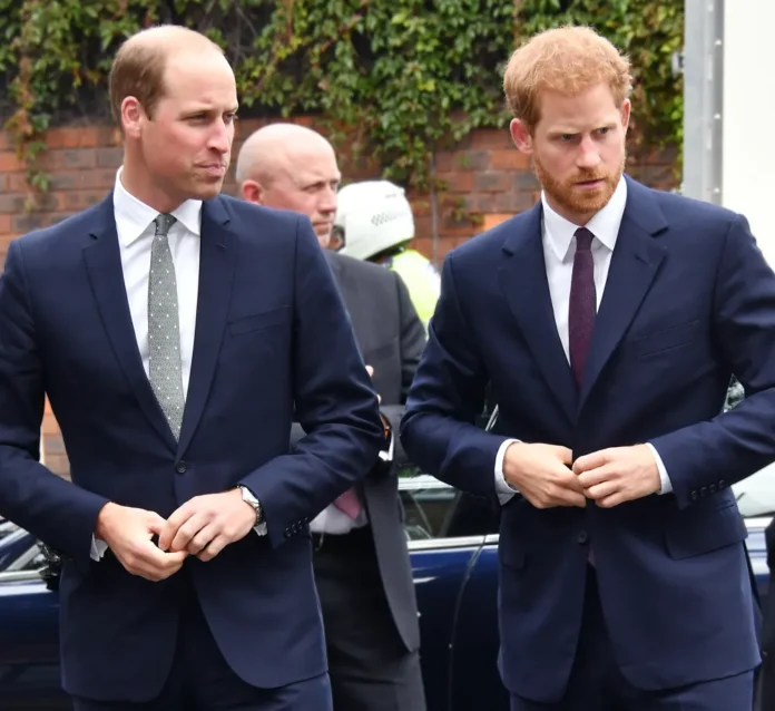 Prince William announced future plans after a secret meeting with Harry

