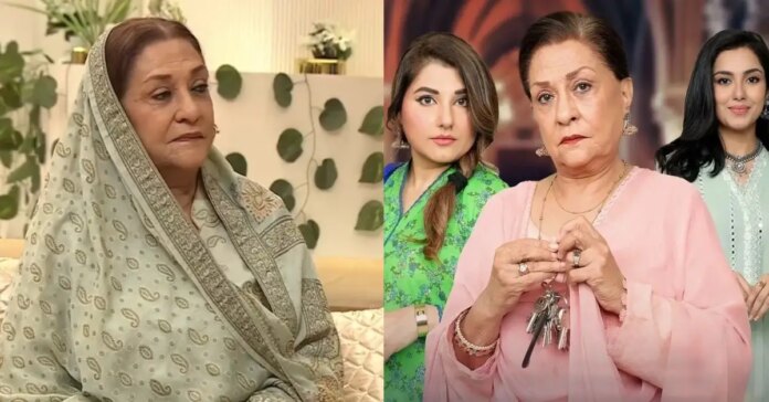 Senior TV artist Sameena Ahmed on Baby Baji success

